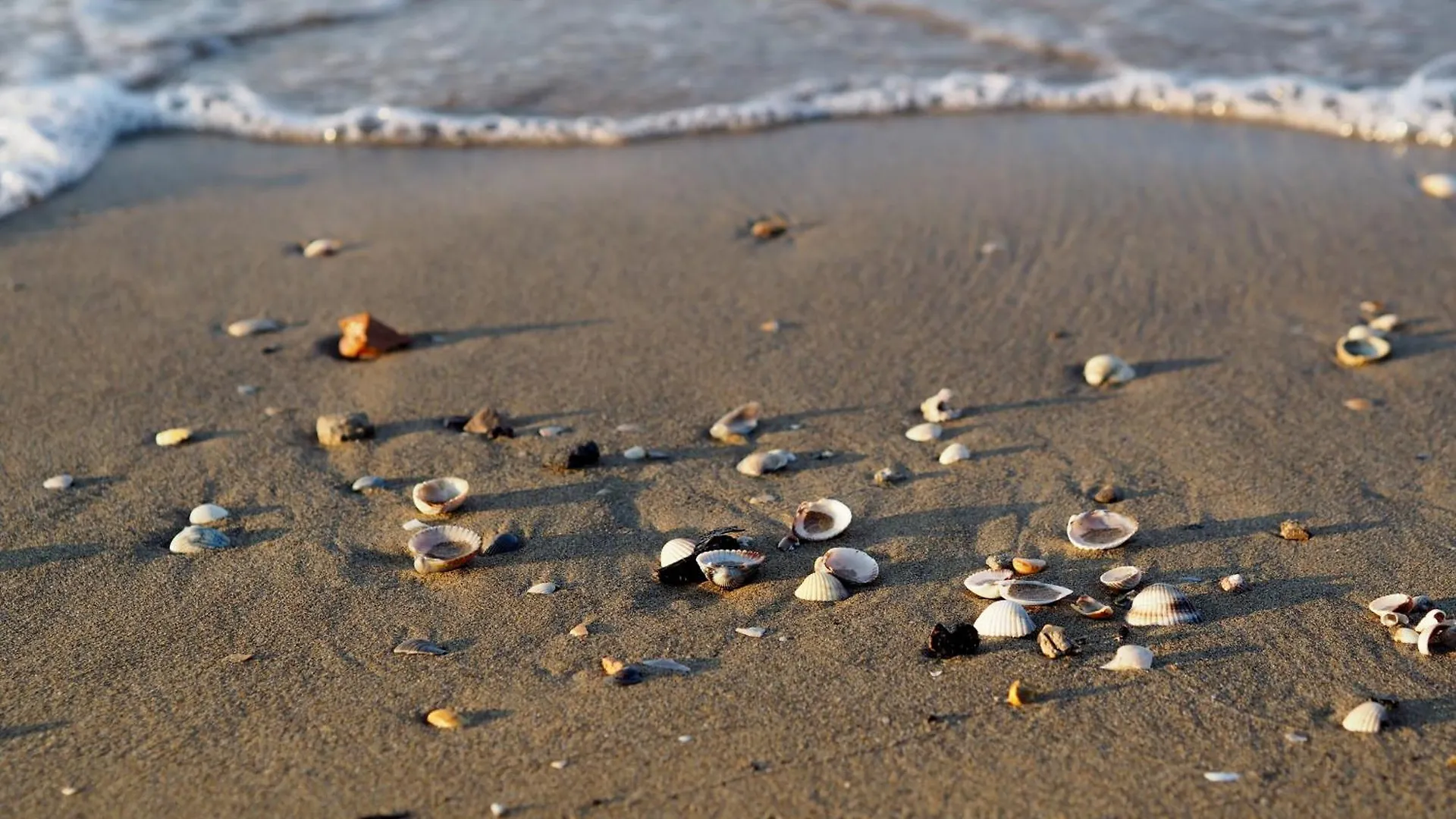 Wonderful Apartment 300 Meters From The Beach Bibione